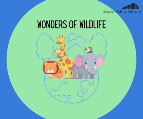 Illustration of a lion, giraffe, monkey, elephant, and toucan with black text reading "Wonders of Wildlife"