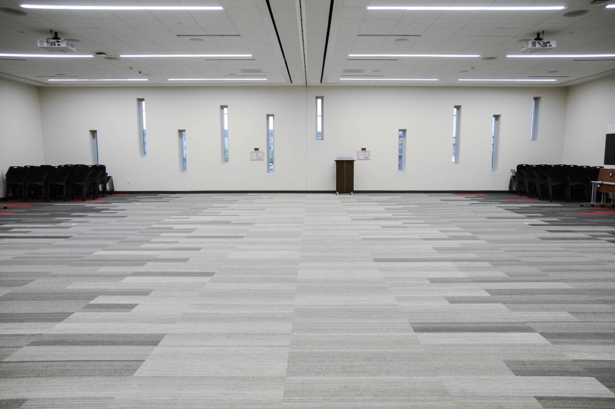 Large square carpeted room with tall narrow windows on one side